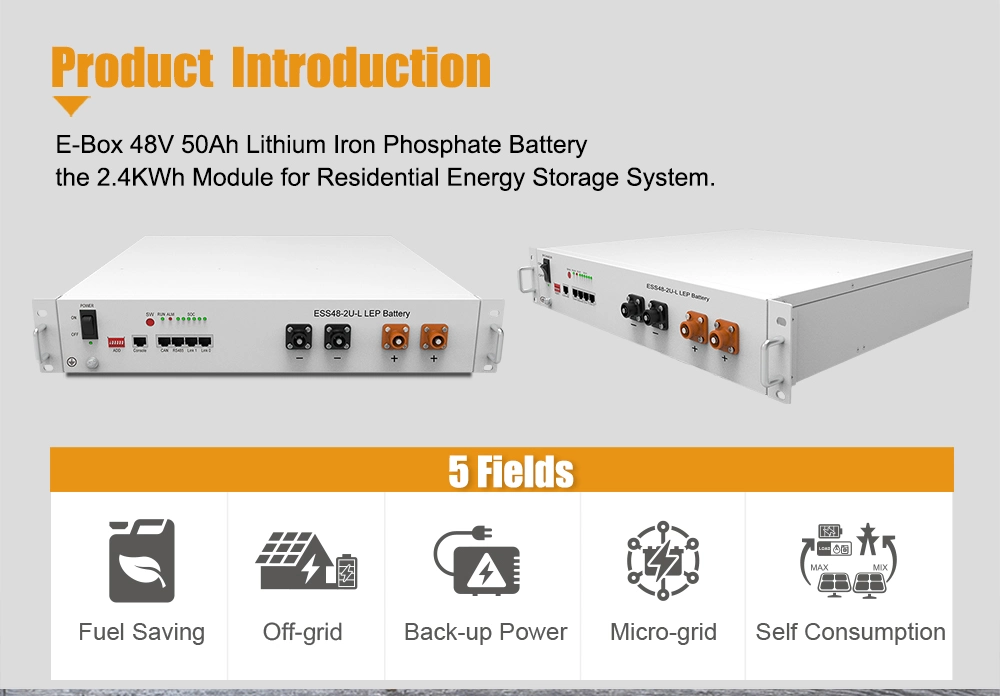 Pytes-4850 2.4kwh Bess LiFePO4 Battery Power Supply Solar Energy Storage System LFP Lithium Ion Battery with BMS