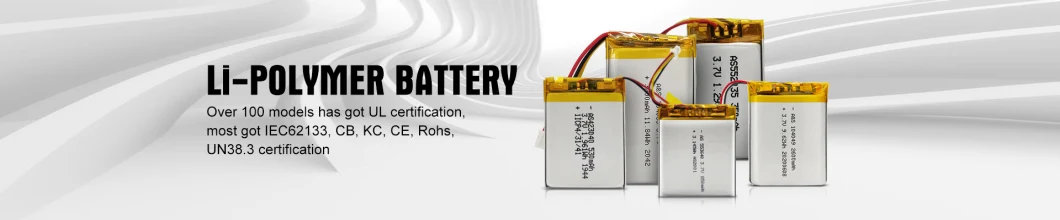 Hot Selling Lipo Battery 102040 Li-Polymer Battery 3.7V 700mAh Lco Cell