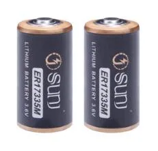 Offre spéciale 1700mAh 3.6V batterie lithium-ion pour jouets Home Appliance Er17335m