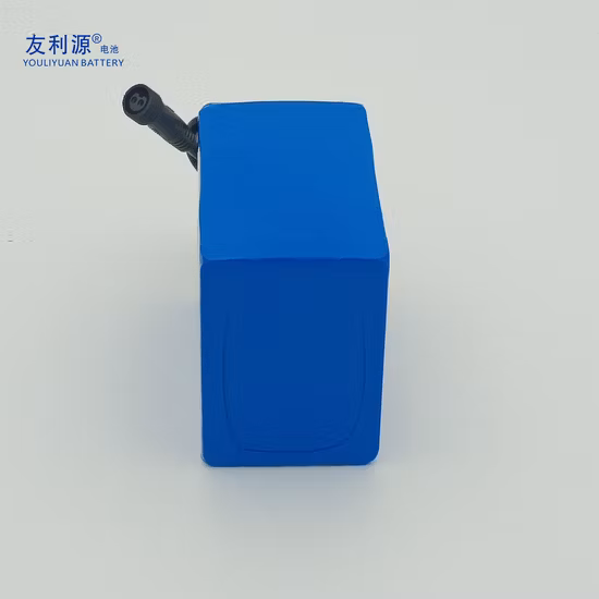 Batterie au lithium 3.6V 2500mAh Décharge 18650 Cellule Li-ion avec CE